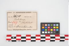 Etikett zu Bronzeschaukelfußreif (NHMW-PRAE-026220)
